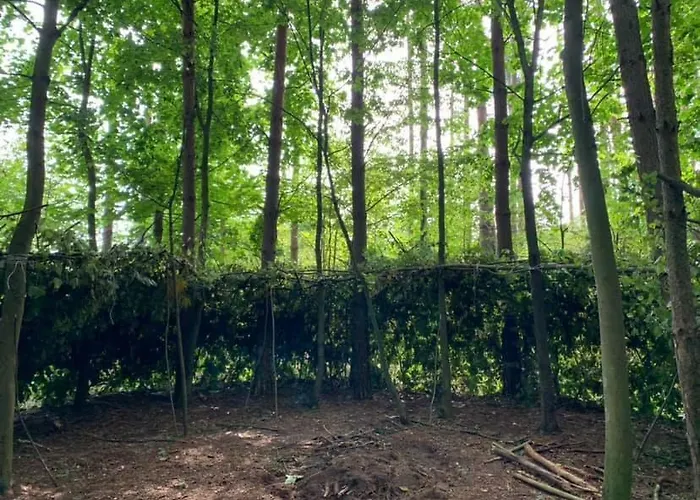 Kuklówka Conference